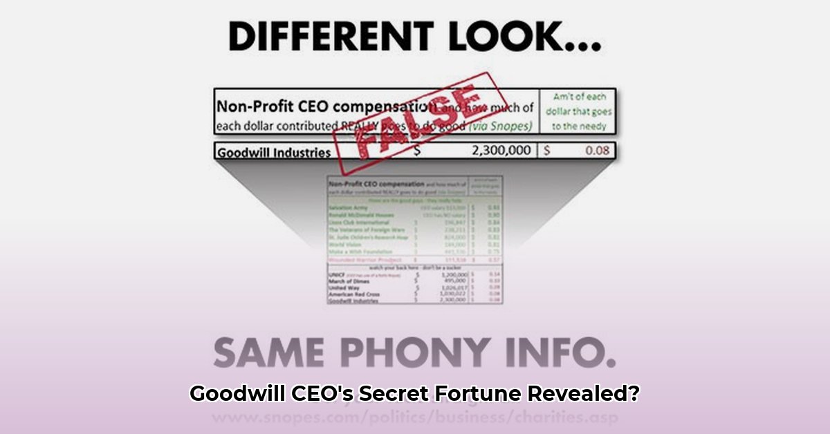 ceo-of-goodwill-net-worth